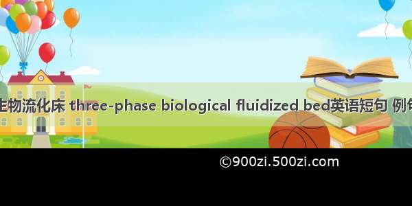 三相生物流化床 three-phase biological fluidized bed英语短句 例句大全