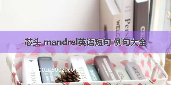 芯头 mandrel英语短句 例句大全