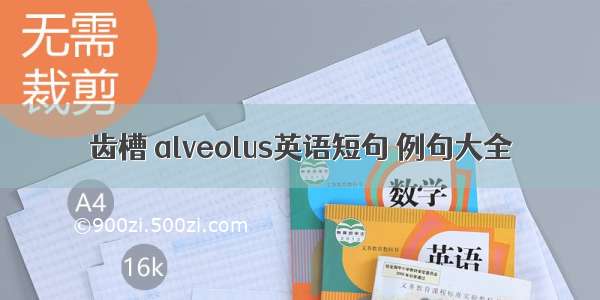 齿槽 alveolus英语短句 例句大全