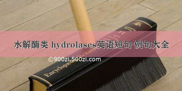 水解酶类 hydrolases英语短句 例句大全