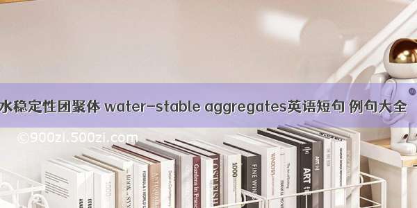水稳定性团聚体 water-stable aggregates英语短句 例句大全