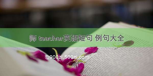 师 teacher英语短句 例句大全