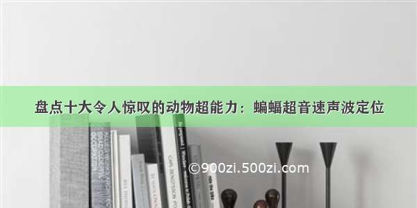 盘点十大令人惊叹的动物超能力：蝙蝠超音速声波定位