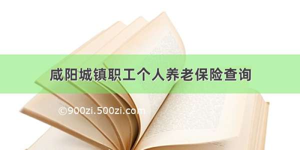 咸阳城镇职工个人养老保险查询