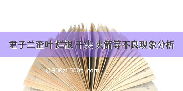 君子兰歪叶 烂根 干尖 夹箭等不良现象分析