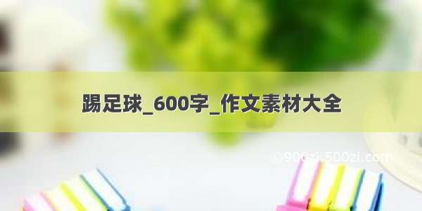 踢足球_600字_作文素材大全