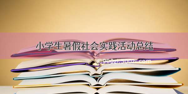 小学生暑假社会实践活动总结