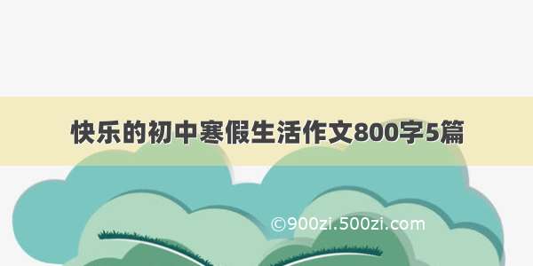 快乐的初中寒假生活作文800字5篇