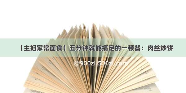 【主妇家常面食】五分钟就能搞定的一顿餐：肉丝炒饼