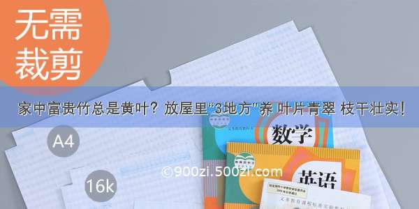 家中富贵竹总是黄叶？放屋里“3地方”养 叶片青翠 枝干壮实！