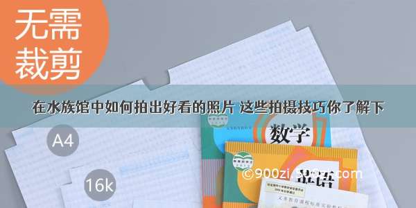 在水族馆中如何拍出好看的照片 这些拍摄技巧你了解下