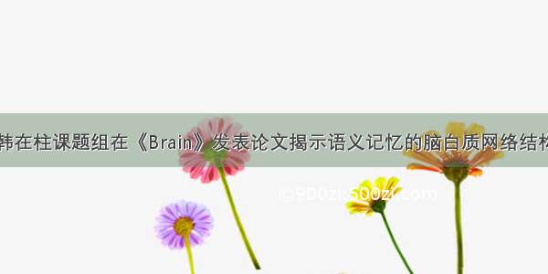 韩在柱课题组在《Brain》发表论文揭示语义记忆的脑白质网络结构
