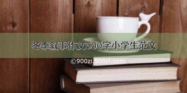 冬季叙事作文500字小学生范文