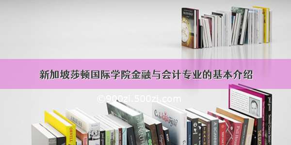 新加坡莎顿国际学院金融与会计专业的基本介绍