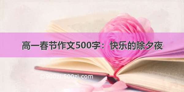 高一春节作文500字：快乐的除夕夜