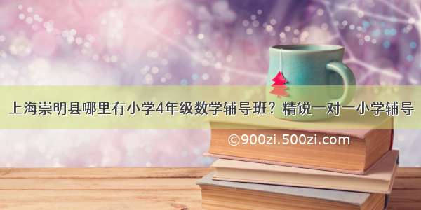 上海崇明县哪里有小学4年级数学辅导班？精锐一对一小学辅导