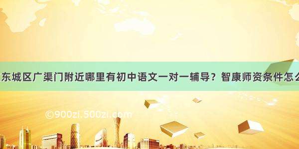 北京东城区广渠门附近哪里有初中语文一对一辅导？智康师资条件怎么样？