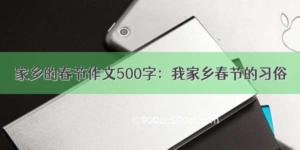 家乡的春节作文500字：我家乡春节的习俗