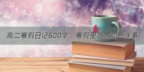 高二寒假日记600字：寒假里难忘的一件事