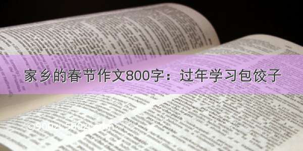 家乡的春节作文800字：过年学习包饺子