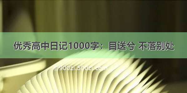 优秀高中日记1000字：目送兮 不落别处