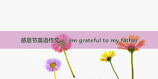 感恩节英语作文：I am grateful to my father