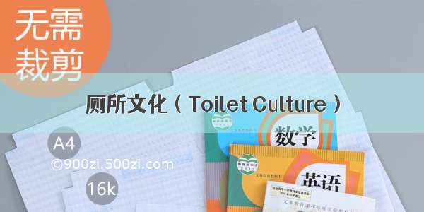 厕所文化（Toilet Culture）