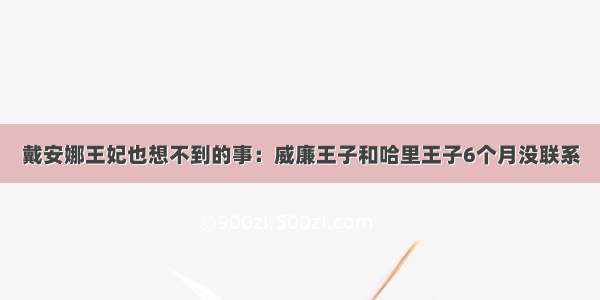 戴安娜王妃也想不到的事：威廉王子和哈里王子6个月没联系