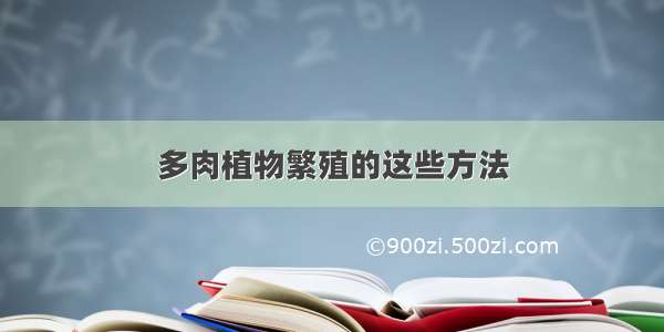 多肉植物繁殖的这些方法