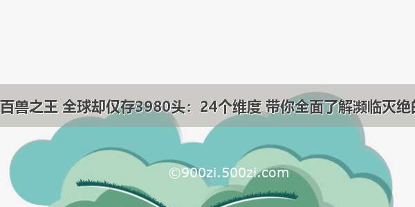 被誉为百兽之王 全球却仅存3980头：24个维度 带你全面了解濒临灭绝的老虎！