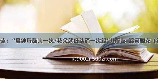 一日一诗：“晨钟每敲响一次/花朵就低头诵一次经”ll蔚霐：渡河梨花（读诗版）