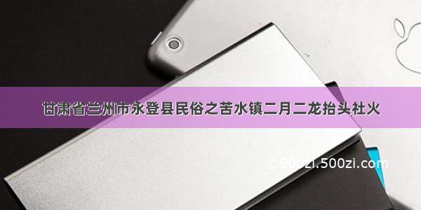 甘肃省兰州市永登县民俗之苦水镇二月二龙抬头社火