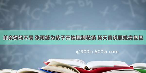 单亲妈妈不易 张雨绮为孩子开始控制花销 杨天真说服她卖包包