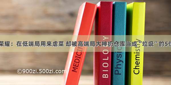 王者荣耀：在低端局用来虐菜 却被高端局大神扔仓库当成“垃圾”的5位英雄