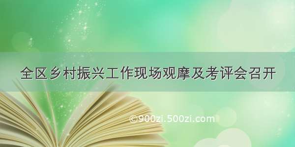 全区乡村振兴工作现场观摩及考评会召开