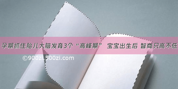 孕期抓住胎儿大脑发育3个“高峰期” 宝宝出生后 智商只高不低