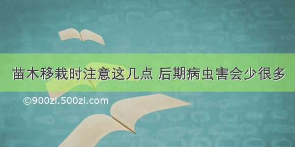 苗木移栽时注意这几点 后期病虫害会少很多