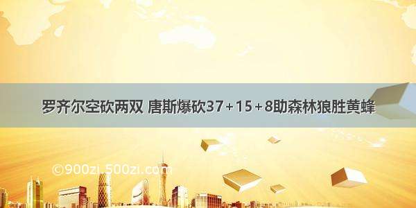 罗齐尔空砍两双 唐斯爆砍37+15+8助森林狼胜黄蜂