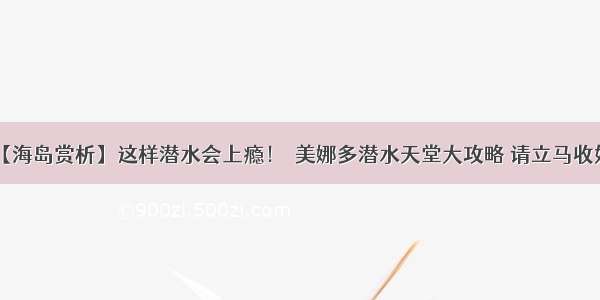 【海岛赏析】这样潜水会上瘾！​美娜多潜水天堂大攻略 请立马收好！