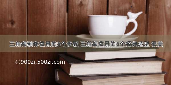 三角梅制作盆景的5个步骤 三角梅盆景的5个经典造型 很美