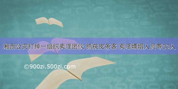 湘西公安打掉一组织卖淫团伙 抓获皮条客 卖淫嫖娼人员等13人