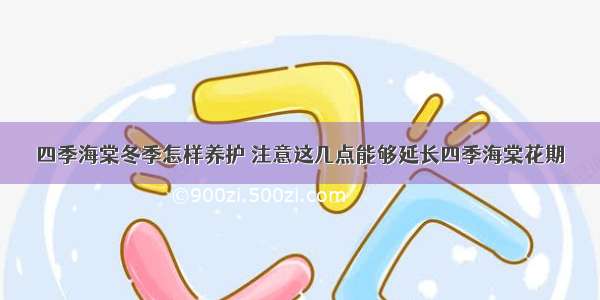 四季海棠冬季怎样养护 注意这几点能够延长四季海棠花期