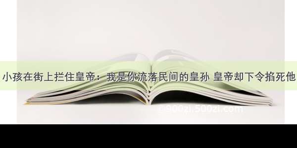 小孩在街上拦住皇帝：我是你流落民间的皇孙 皇帝却下令掐死他