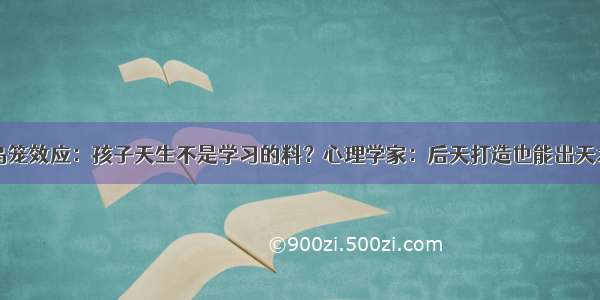 鸟笼效应：孩子天生不是学习的料？心理学家：后天打造也能出天才