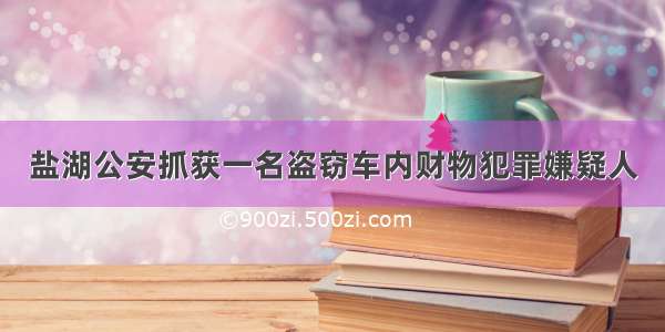 盐湖公安抓获一名盗窃车内财物犯罪嫌疑人