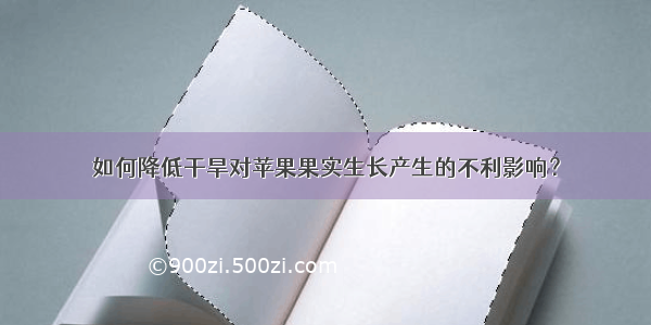 如何降低干旱对苹果果实生长产生的不利影响？