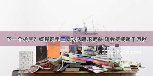 下一个杨晨？媒曝德甲三支球队追求武磊 转会费或超千万欧