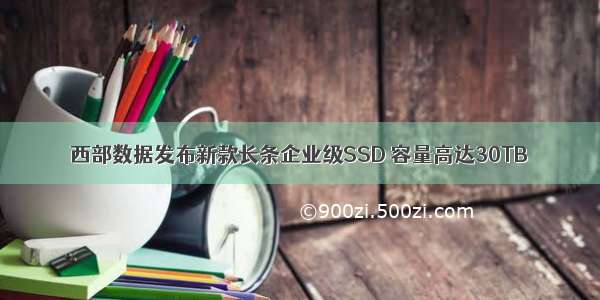 西部数据发布新款长条企业级SSD 容量高达30TB