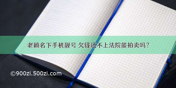 老赖名下手机靓号 欠钱还不上法院能拍卖吗？