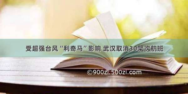 受超强台风“利奇马”影响 武汉取消30架次航班